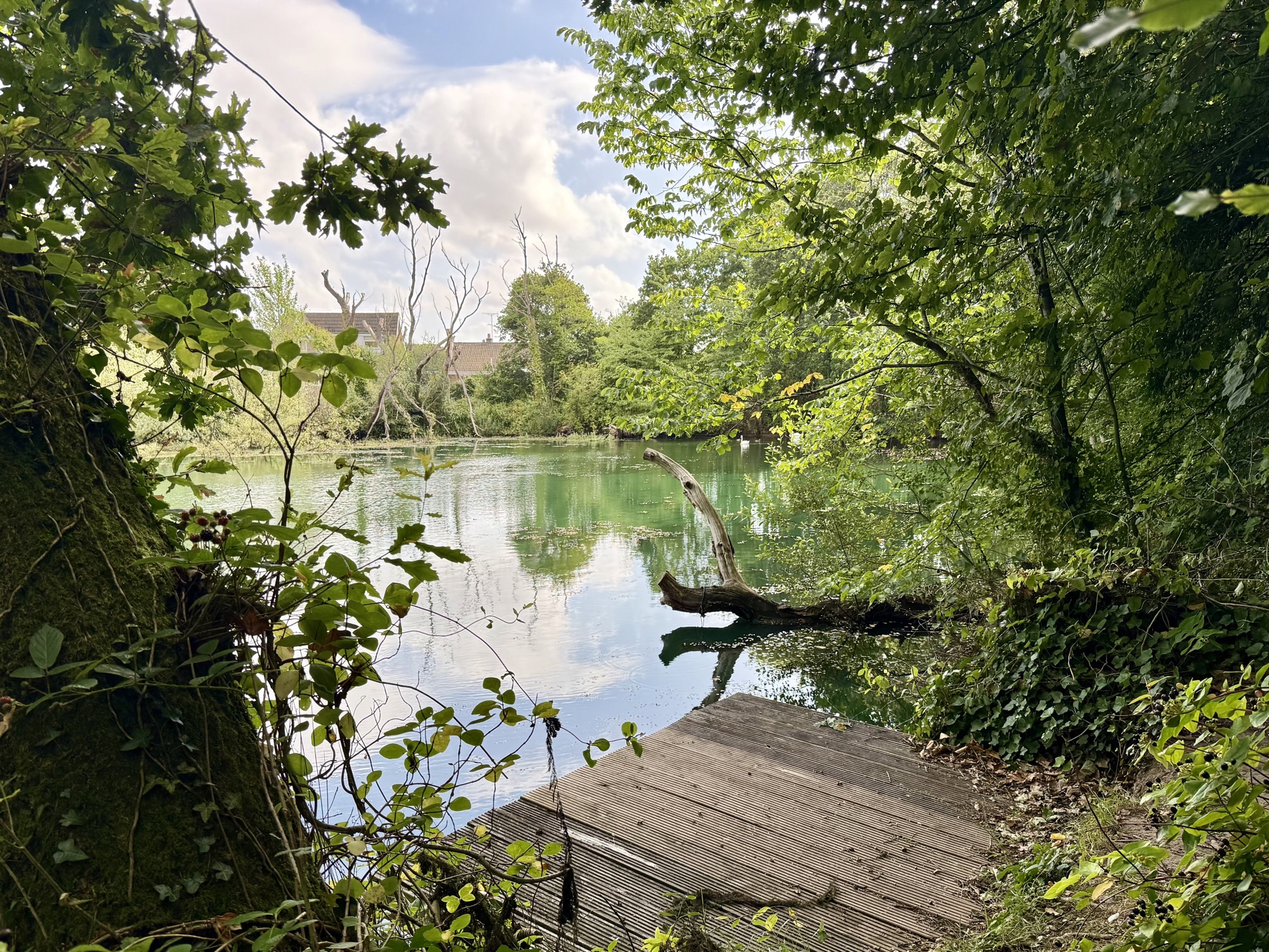 Pre-baiting
