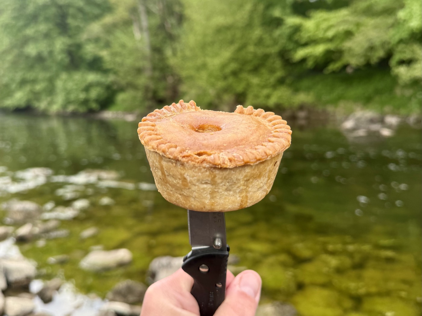 Sneaky Pie