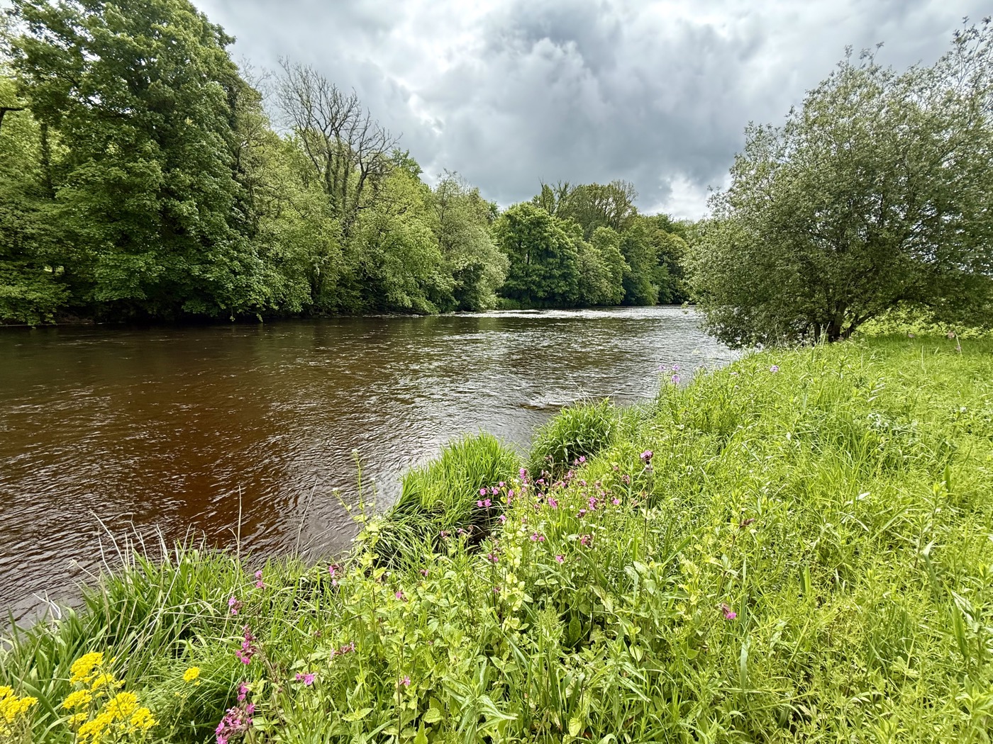 Dirty Mayfly