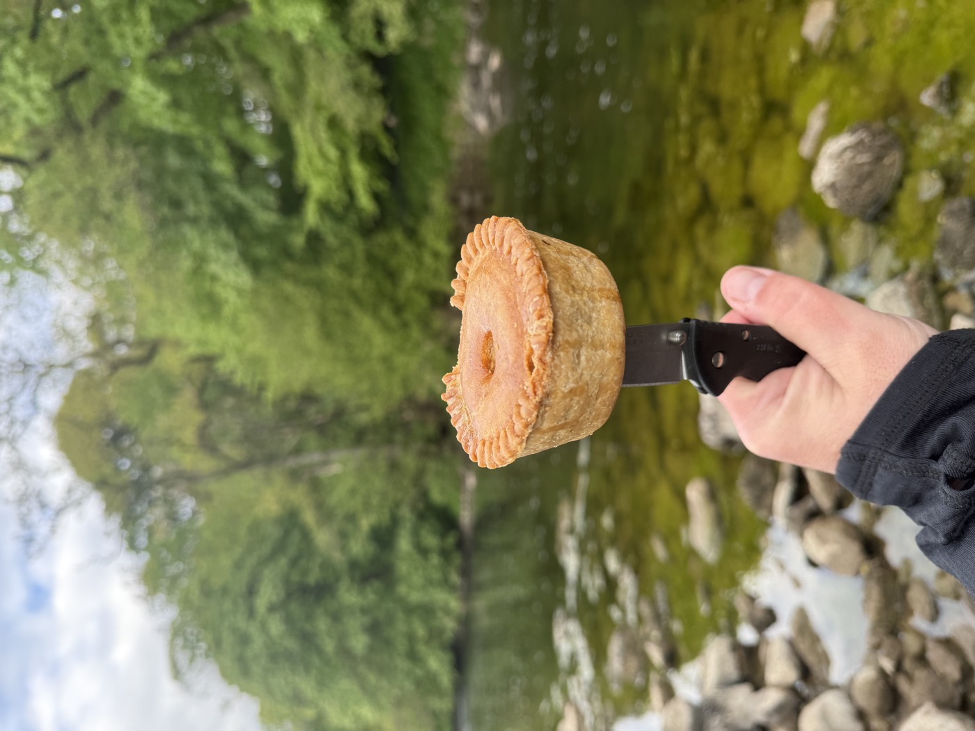 Sneaky Pie