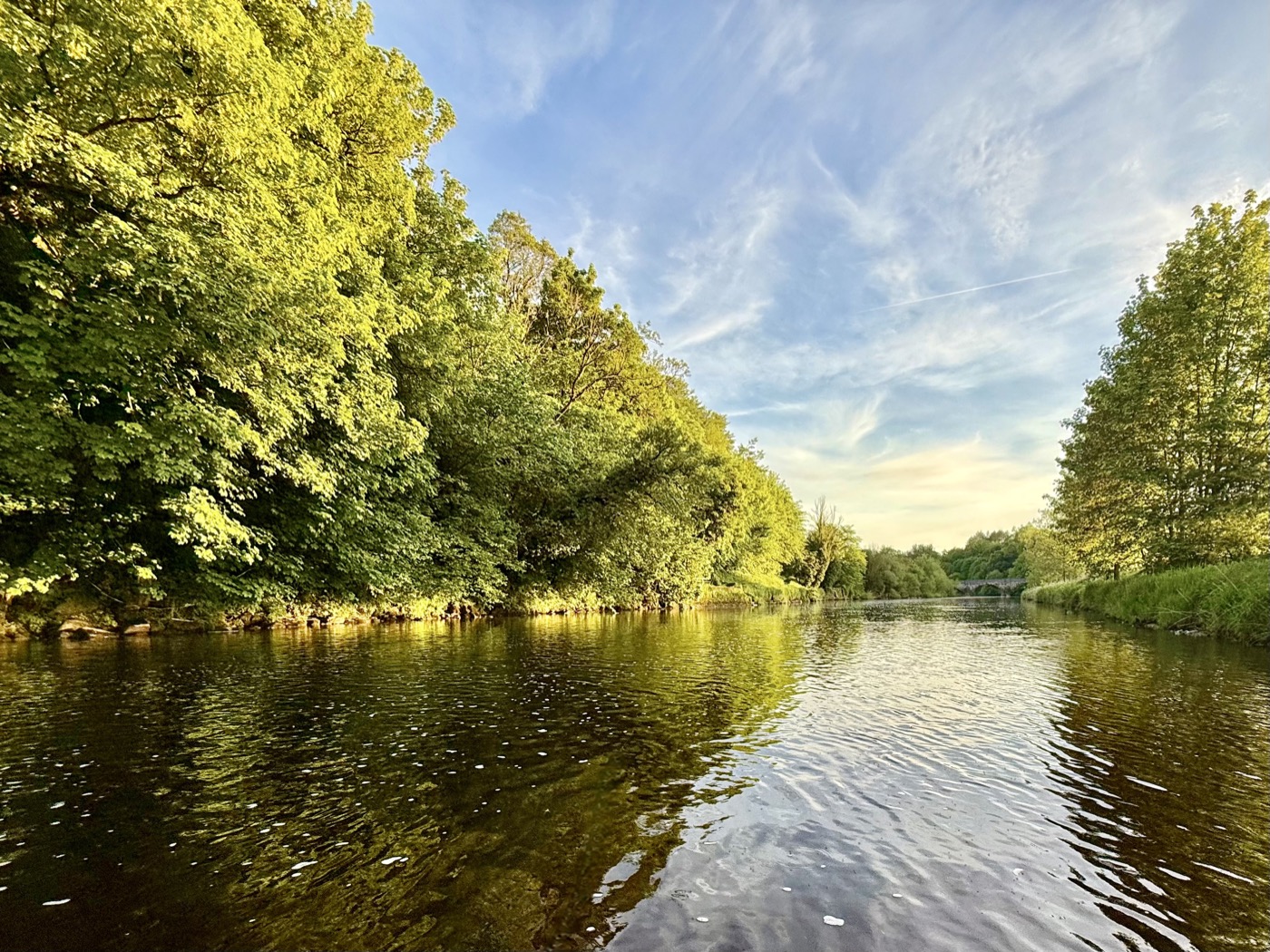 Peak Dry Fly